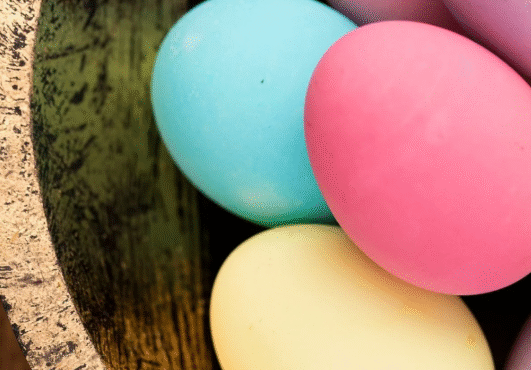 Our First Edition Is Finally Here — And It’s Egg-stra Special! 🐰