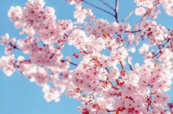 🌟 Twin Oaks Insider – Your Weekend Just Got Better