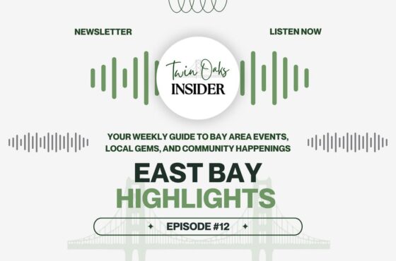 Summer Sparks & Local Magic 🎇