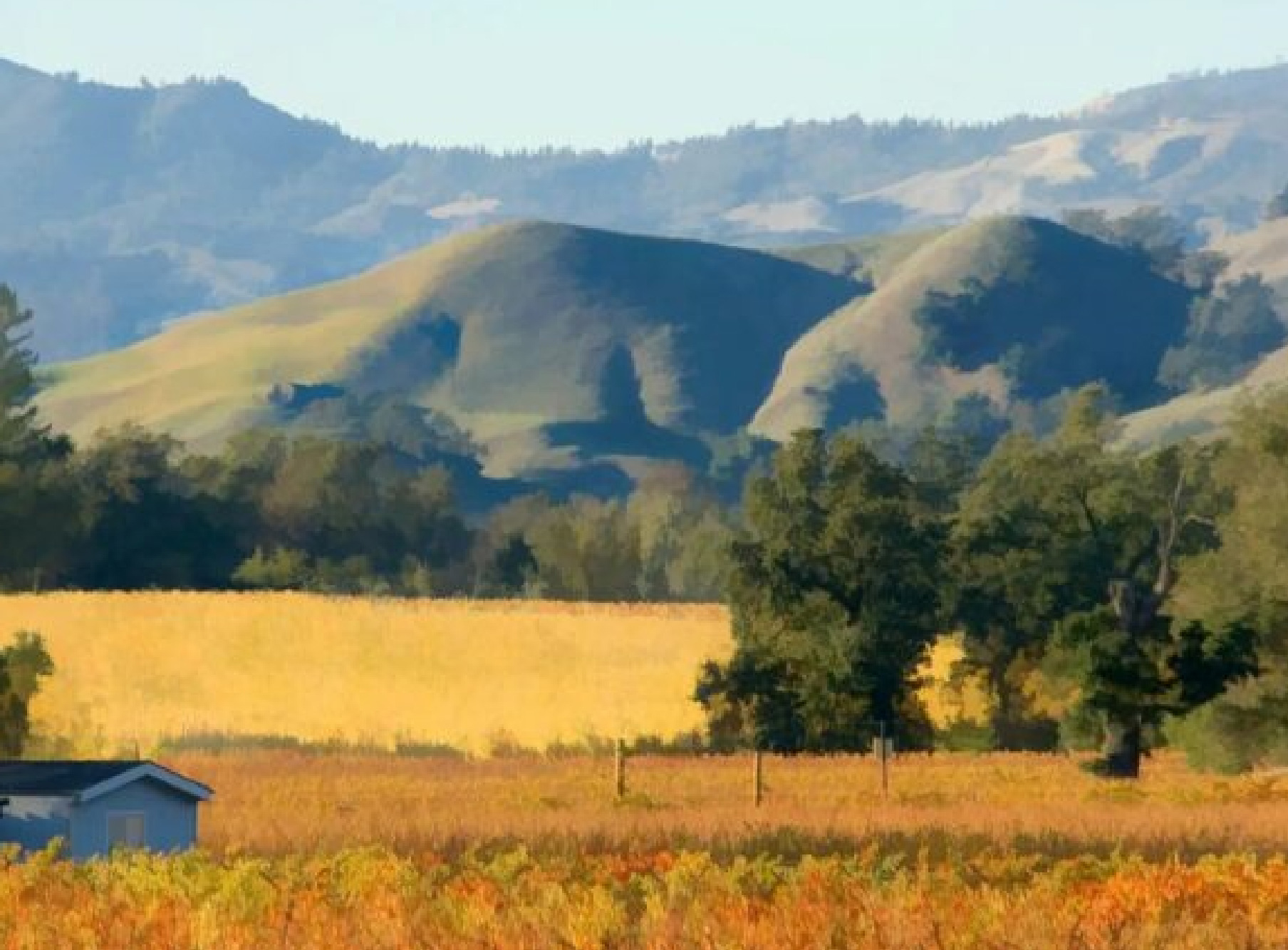 SONOMA COUNTY