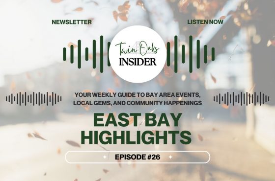 Flannels, Festivals & Fall Fun 🍂