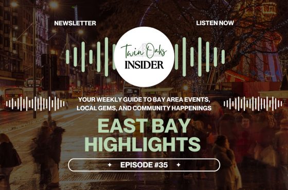 🎄 Streets, Songs & Seasonal Cheer