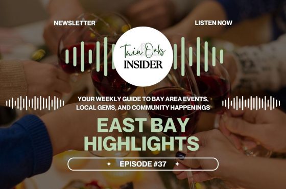 🎄 Cozy, Calm & Christmas Week: East Bay Events