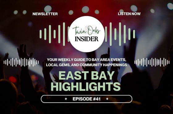 🏙️ Winter Happenings: Cozy Nights, Outdoor Fun & More