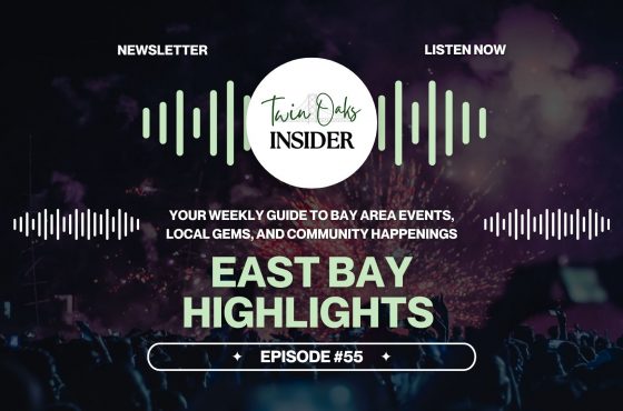 🎇 Secrets, Spectacles & Showstoppers: The Bay’s Hottest Week Unleashed