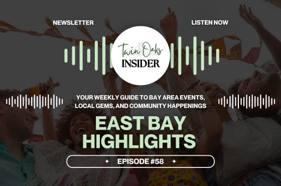 🎉Bay Area Weekend Pulse: Art, Jazz, Makers & Street Fests You Can’t Miss